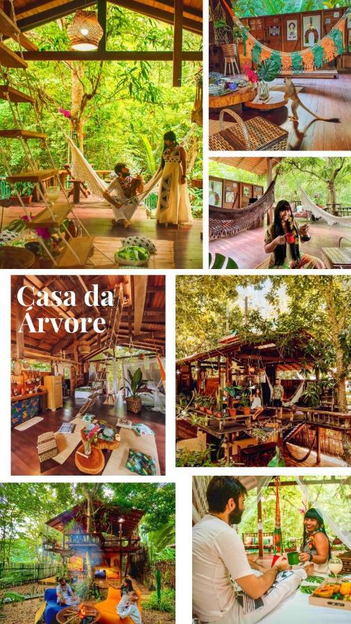 Casa Da Arvore, Sonho Na Amazonia, 2min A Pe Da Inn *