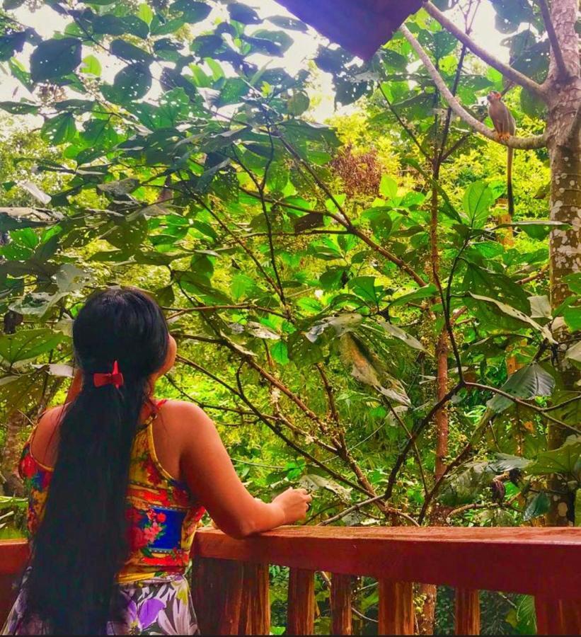 Casa Da Arvore, Sonho Na Amazonia, 2min A Pe Da Alter do Chao